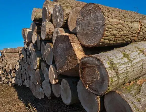 vente de bois de chauffage