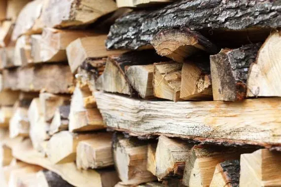 Vente de bois