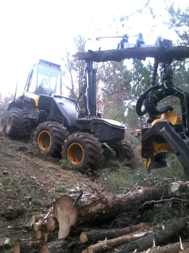 machine à boiswebp