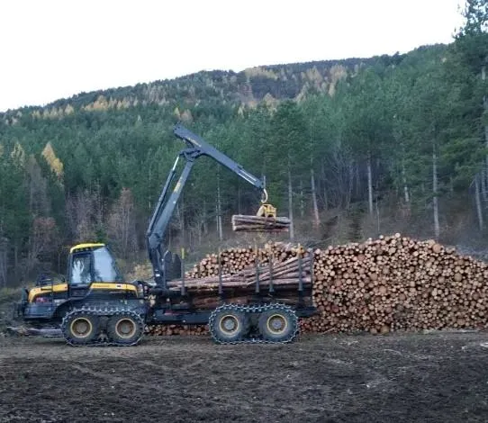 porterur forestier